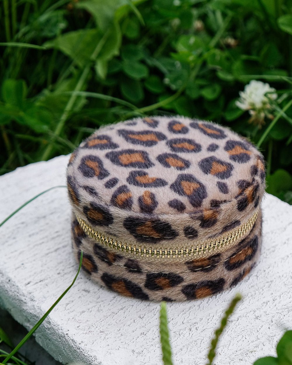 Pack Léopard