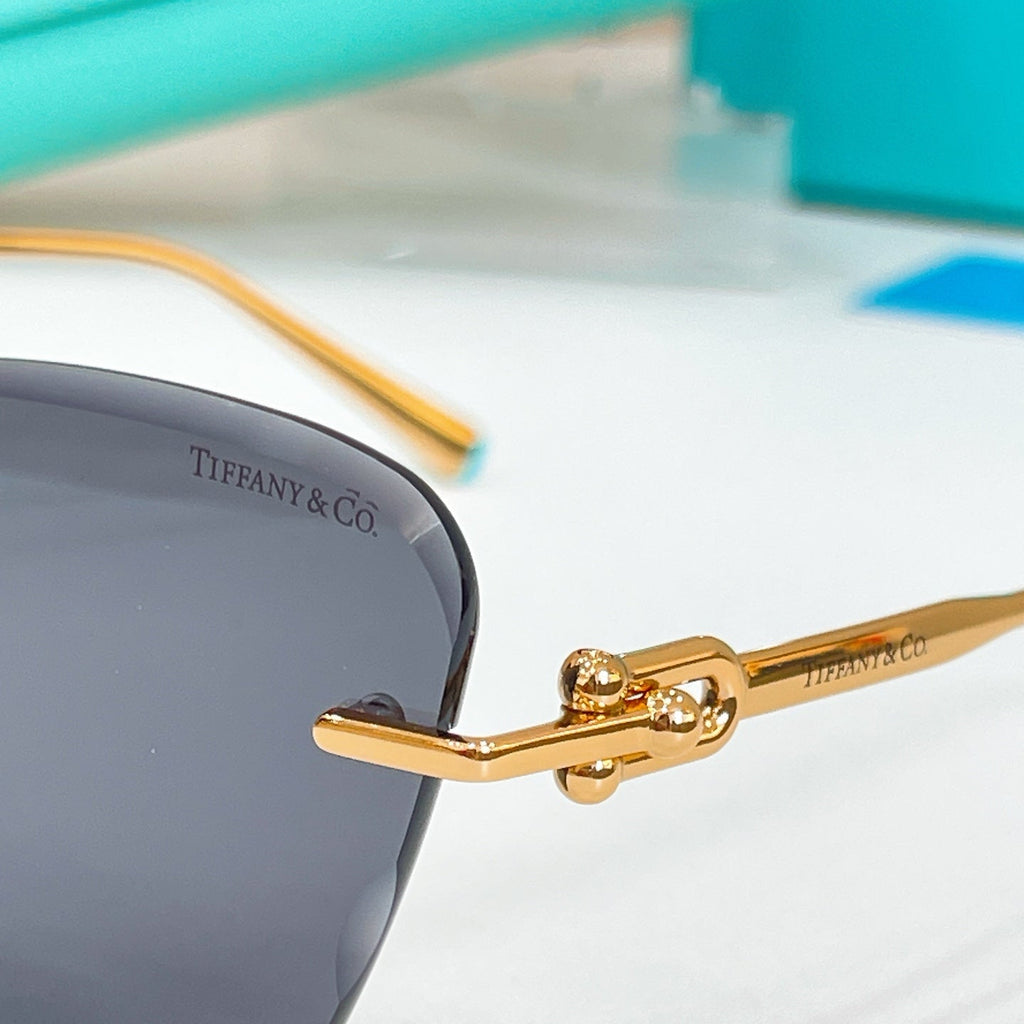 TIFFANY&Co. Sunglasses